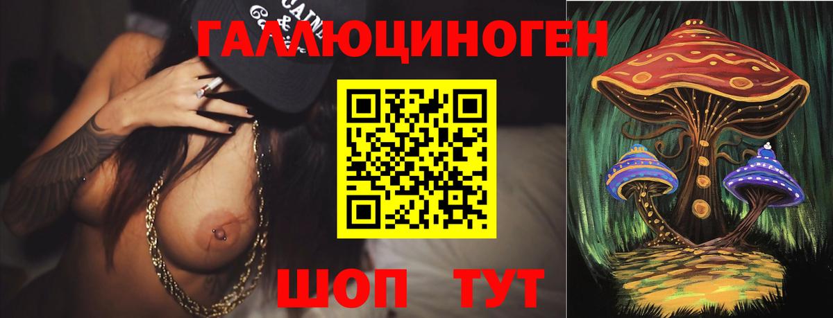 Хабаровск  продажа наркотиков  Вход с VPN  Галлюциногенные грибы Psilocybine cubensis  Галлюциногенные грибы прущие грибы 