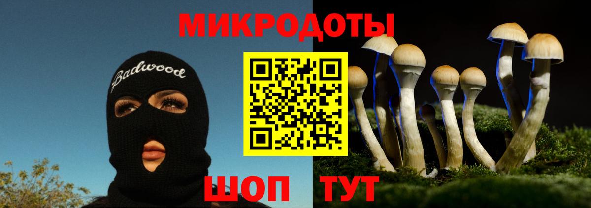 Псилоцибиновые грибы Cubensis Хабаровск